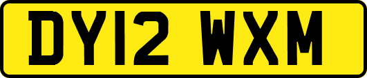 DY12WXM