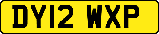 DY12WXP