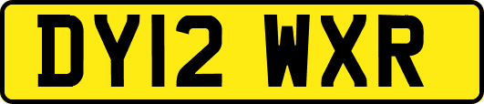 DY12WXR