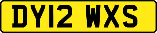 DY12WXS