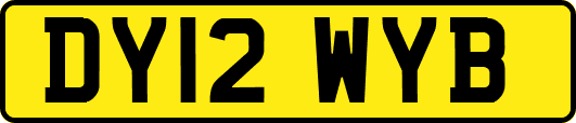 DY12WYB