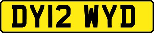 DY12WYD
