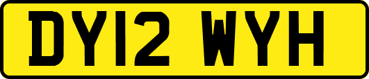 DY12WYH