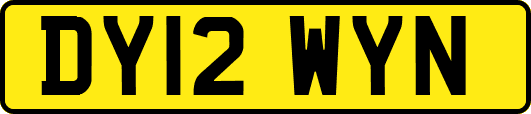 DY12WYN