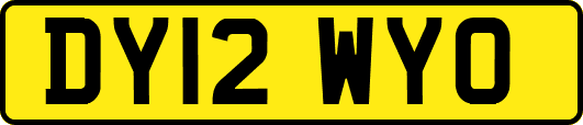 DY12WYO