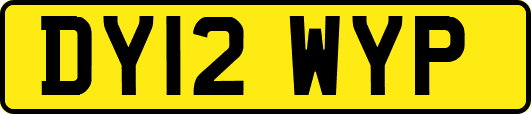 DY12WYP