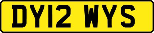 DY12WYS