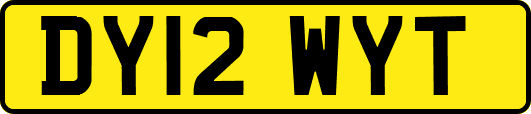 DY12WYT