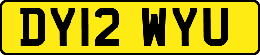 DY12WYU
