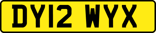 DY12WYX