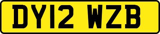 DY12WZB