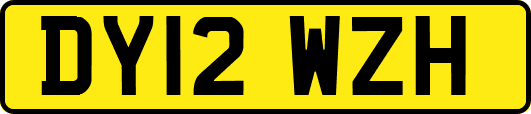 DY12WZH