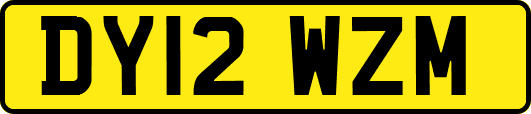 DY12WZM