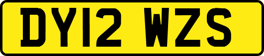 DY12WZS