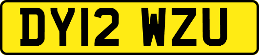 DY12WZU
