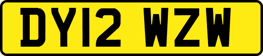 DY12WZW