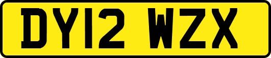 DY12WZX