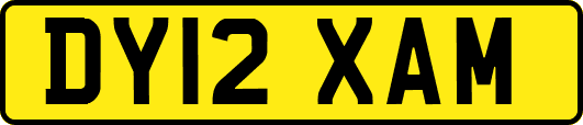 DY12XAM