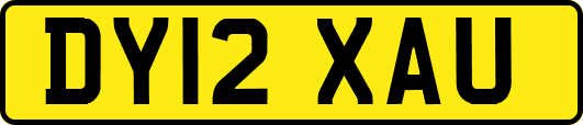 DY12XAU