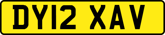 DY12XAV