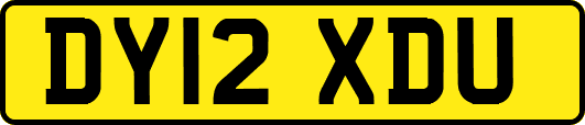 DY12XDU