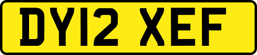 DY12XEF