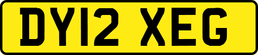 DY12XEG