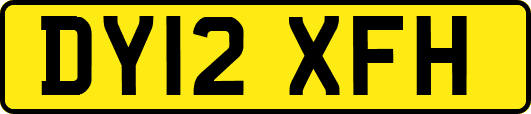 DY12XFH