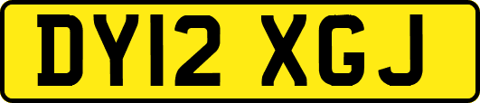 DY12XGJ