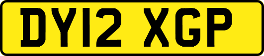 DY12XGP