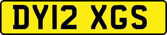 DY12XGS