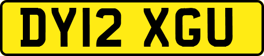 DY12XGU