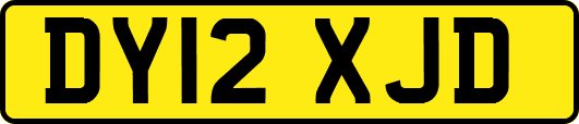 DY12XJD