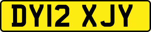 DY12XJY