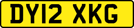DY12XKG