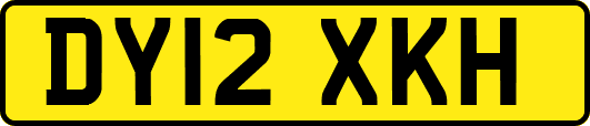 DY12XKH