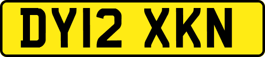 DY12XKN