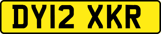 DY12XKR