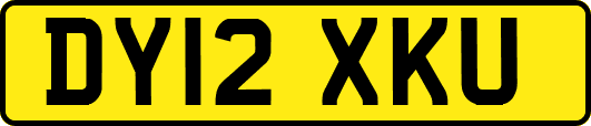 DY12XKU