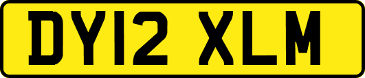 DY12XLM