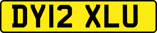 DY12XLU