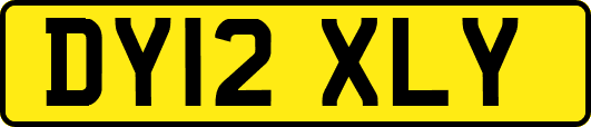 DY12XLY