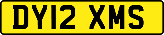 DY12XMS