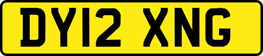 DY12XNG
