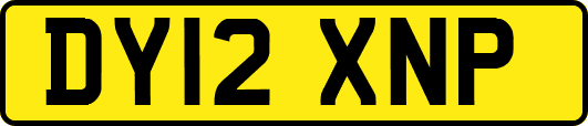DY12XNP