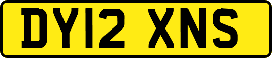 DY12XNS