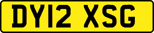 DY12XSG