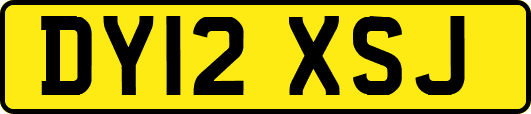 DY12XSJ