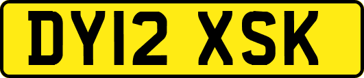 DY12XSK