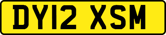 DY12XSM